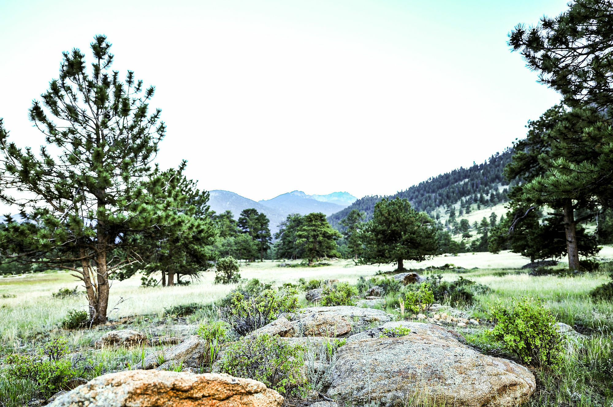 The Historic Crag'S Lodge Estes Park Eksteriør bilde